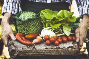 Cand au inceput sa fie cultivate legumele?