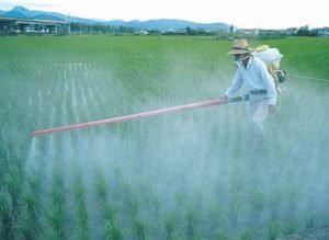 Ce sunt pesticidele?