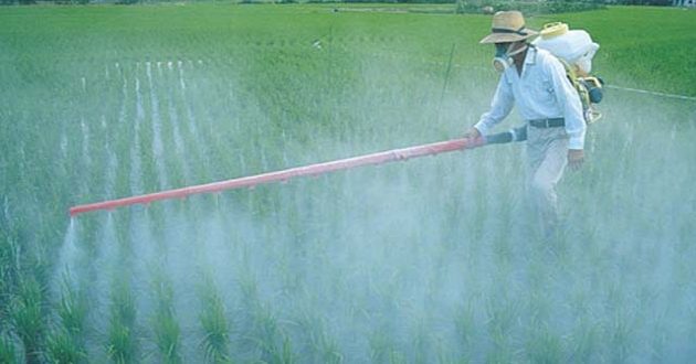 Ce sunt pesticidele?
