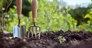  Cele mai importante instrumente de gradinarit