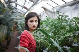 Cele mai importante domenii de activitate in Romania