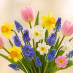 Ce flori simbolizează renașterea într-un buchet de primăvară?