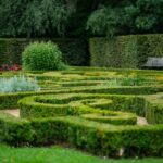 Cum să obții intimitate totală în curtea ta folosind lemn câinesc